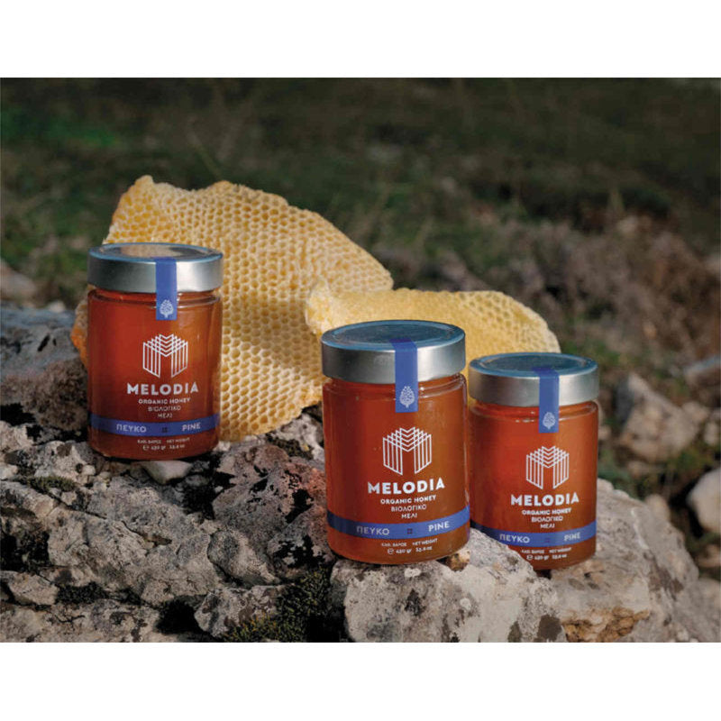 Organic Honey - Pine